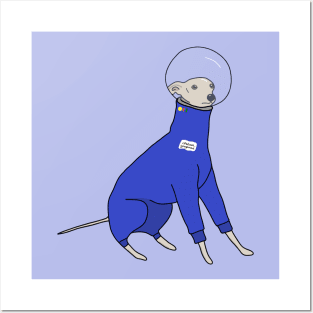 Italian greyhound in space suit Posters and Art